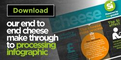 Cheese Infographic web button