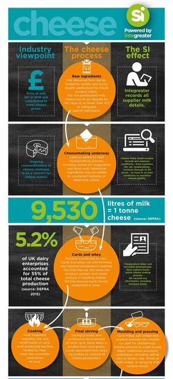 CHEESE_infographic-V5-1