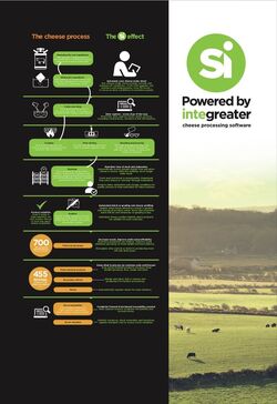 Cheese process infographic