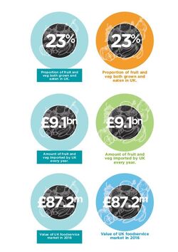 Web Iconography-infographics